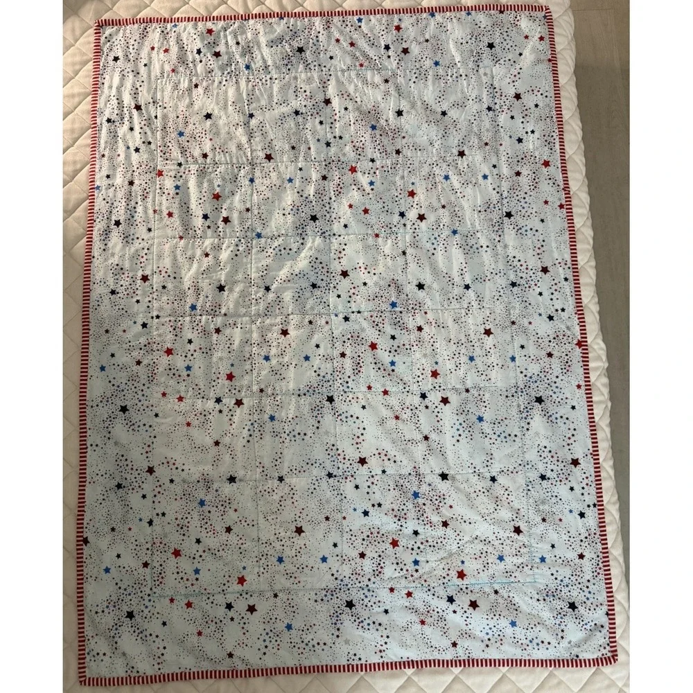 40in x 29in Dr. Seuss Cat in the Hat Patchwork Quilt Red/White/Blue Star Theme